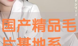 国产精品毛片,匠心独运，展现中国电影魅力